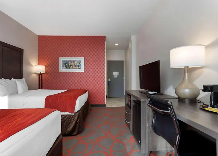Comfort Inn & Suites Near Stadium